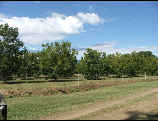 8HA FARM FOR SALE IN WEENEN